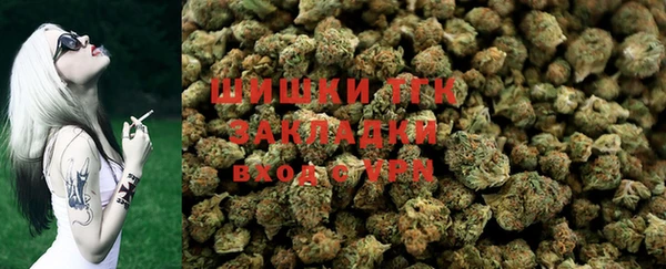 прущие грибы Алексеевка