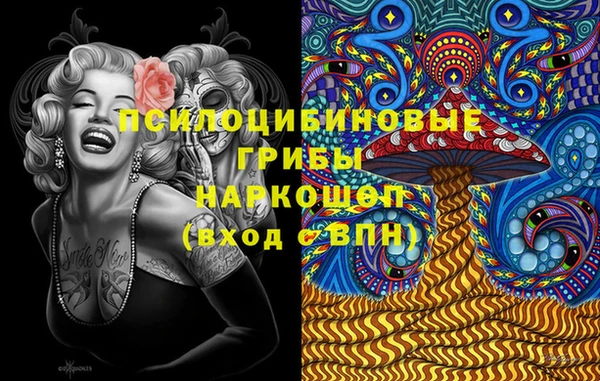 прущие грибы Алексеевка