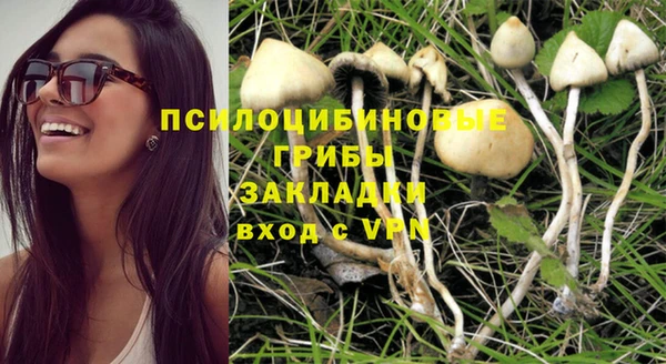 сатива Алзамай