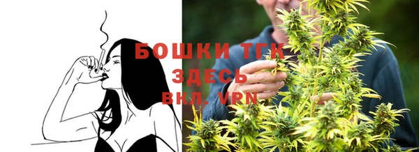 сатива Алзамай