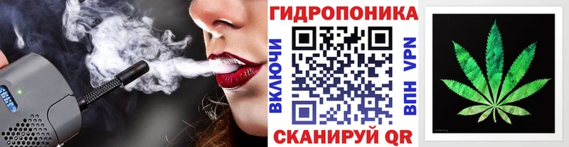 hydra Анадырь Шишки марихуана сатива хочу наркоту